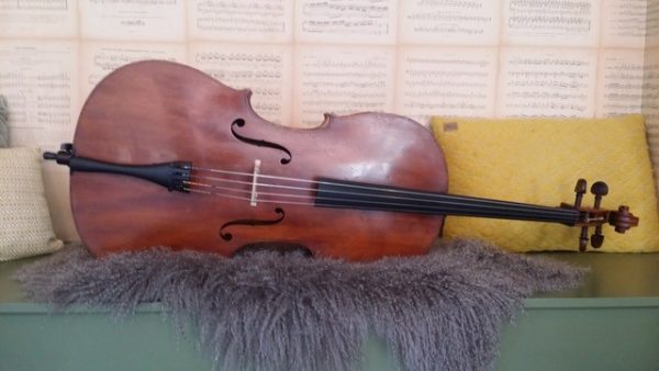 Cello Pernoud, Haute Savoie d