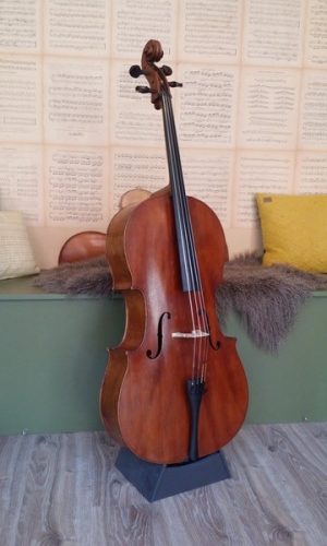 Cello Pernoud, Haute Savoie g