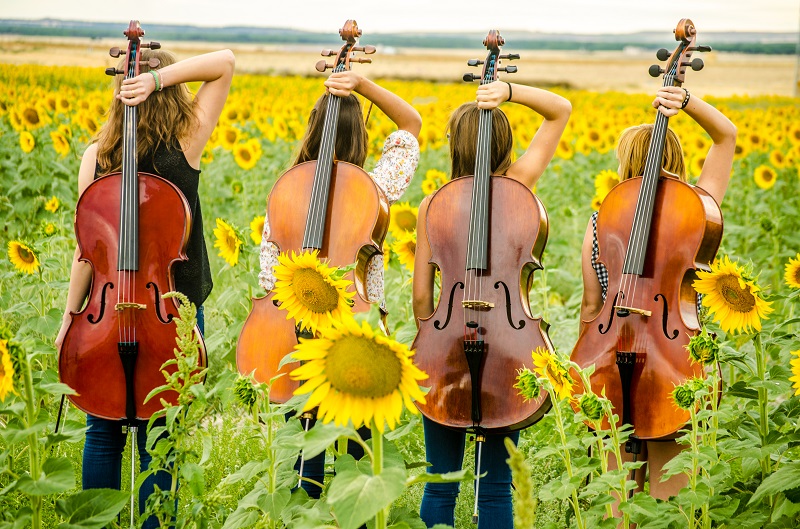 Spring = cello!