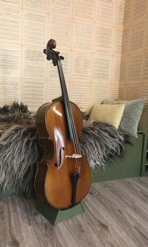 Belgische cello